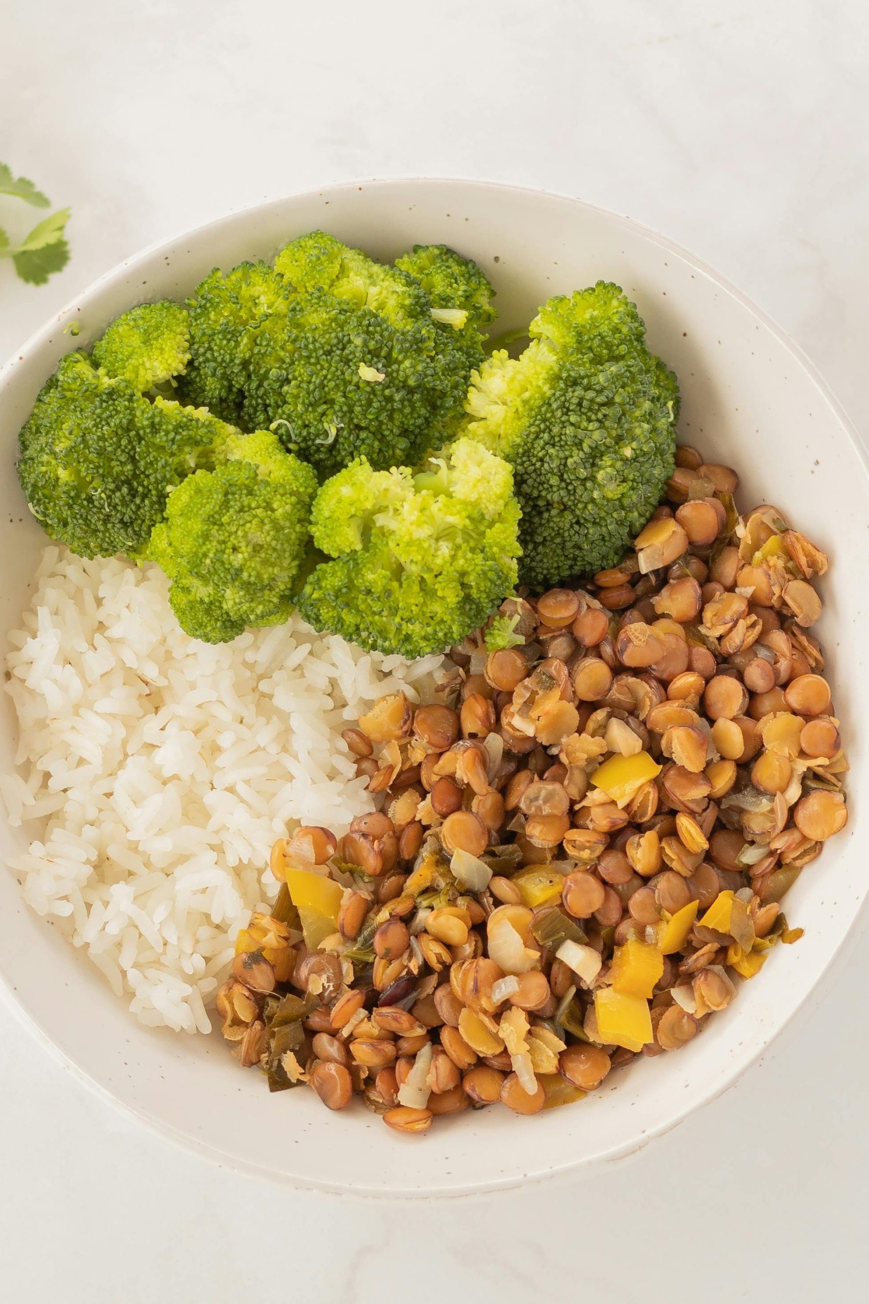 lentil stew served with soft rice and steamed broccoli